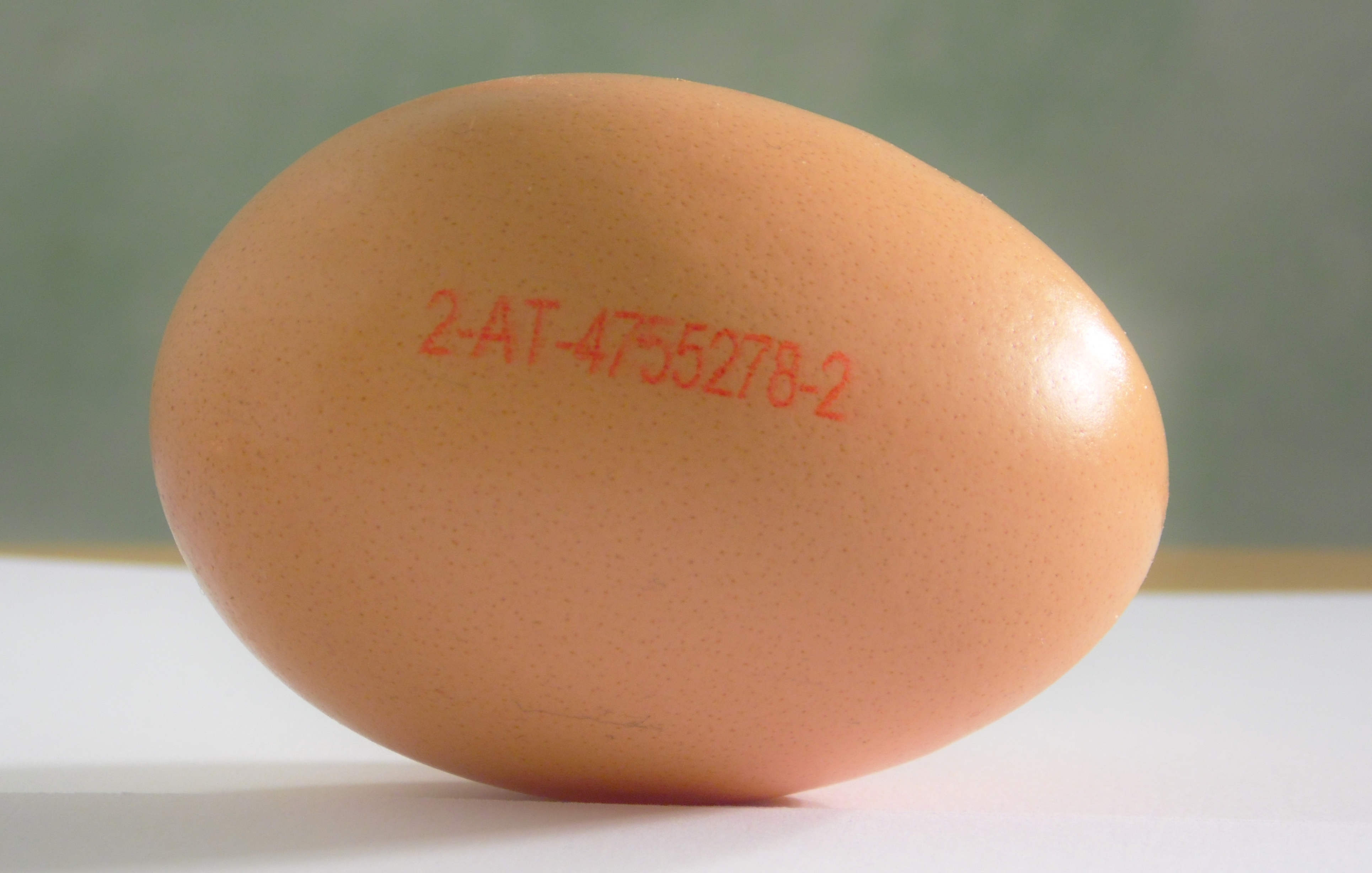 Wer nachhaltig Ostern feiern will, achtet auf die Eierkennzeichnung. Foto: Ei mit gestempelter Eierkennzeichnung.