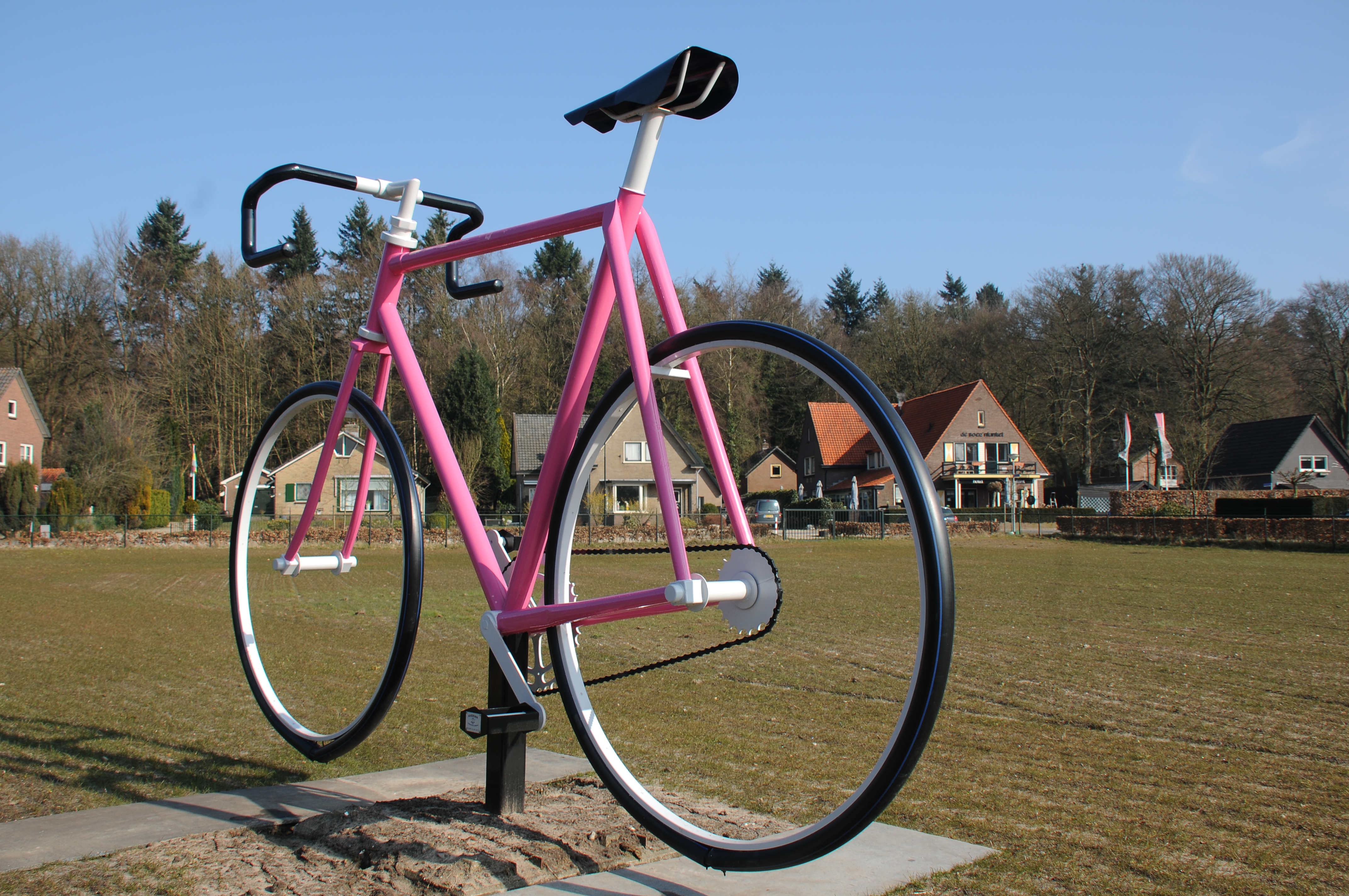 giant pink bike