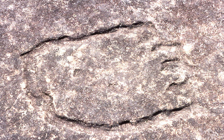 File:Aboriginal rock carvings, Terrey Hills, New South Wales, Sydney - Wiki0160.jpg