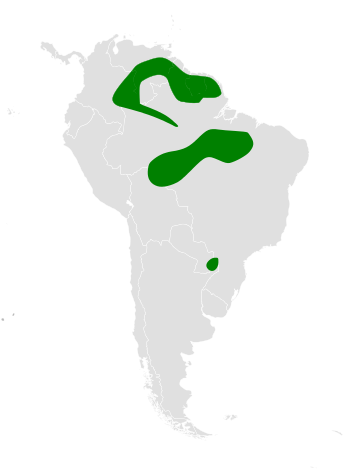 File:Atticora melanoleuca distribution map.png