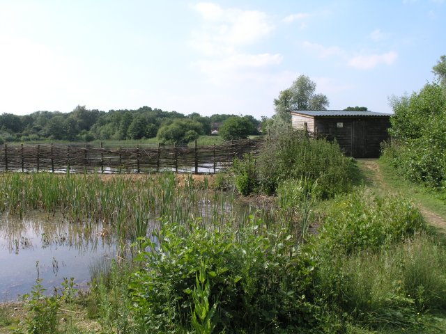 Bird Hide - geograph.org.uk - 188225