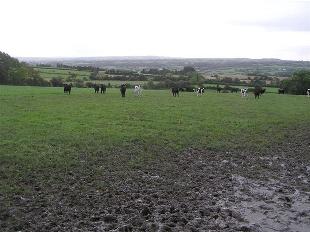 File:Calhame Townland - geograph.org.uk - 992982.jpg