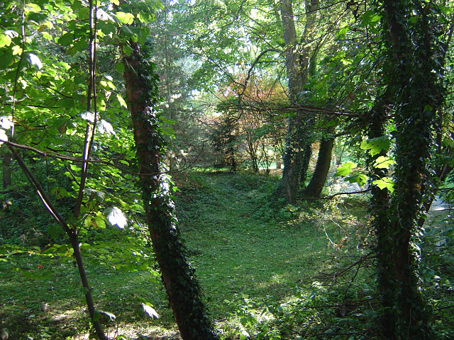 File:Castle mound, Lowdham - geograph.org.uk - 1011882.jpg