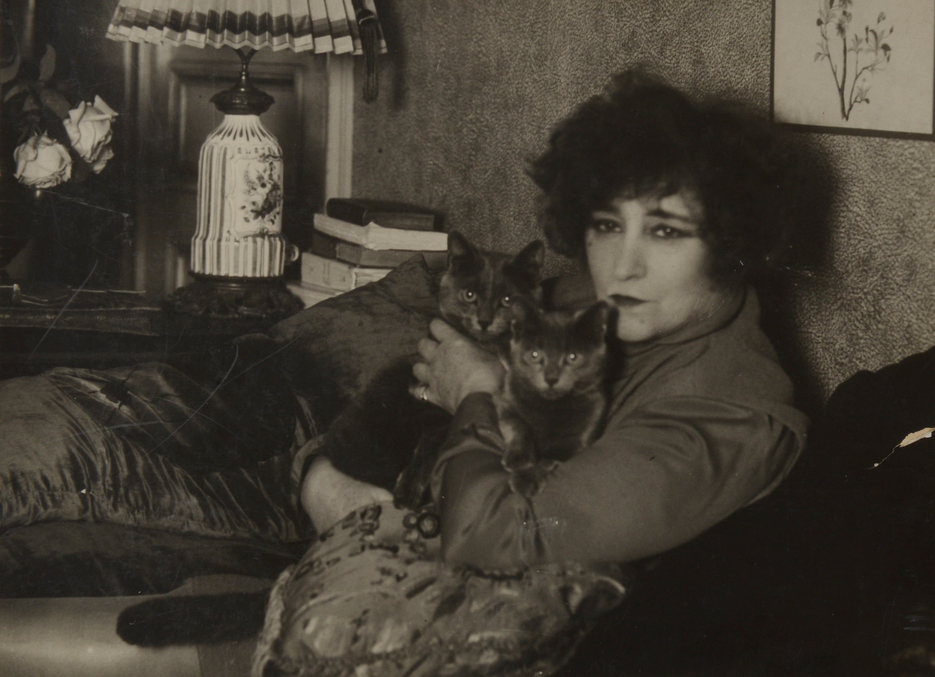 Colette en 100 images et 240 pages