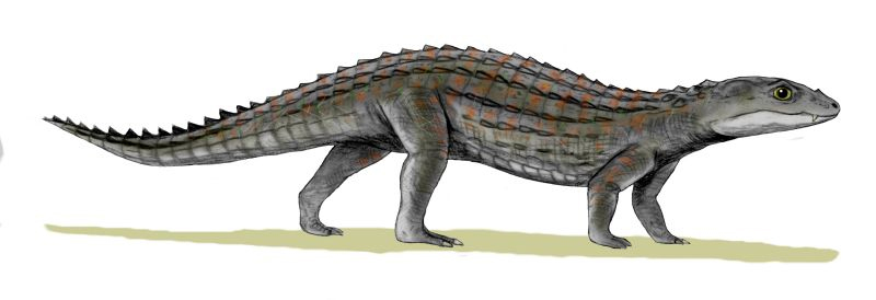 File:Comahuesuchus BW.jpg