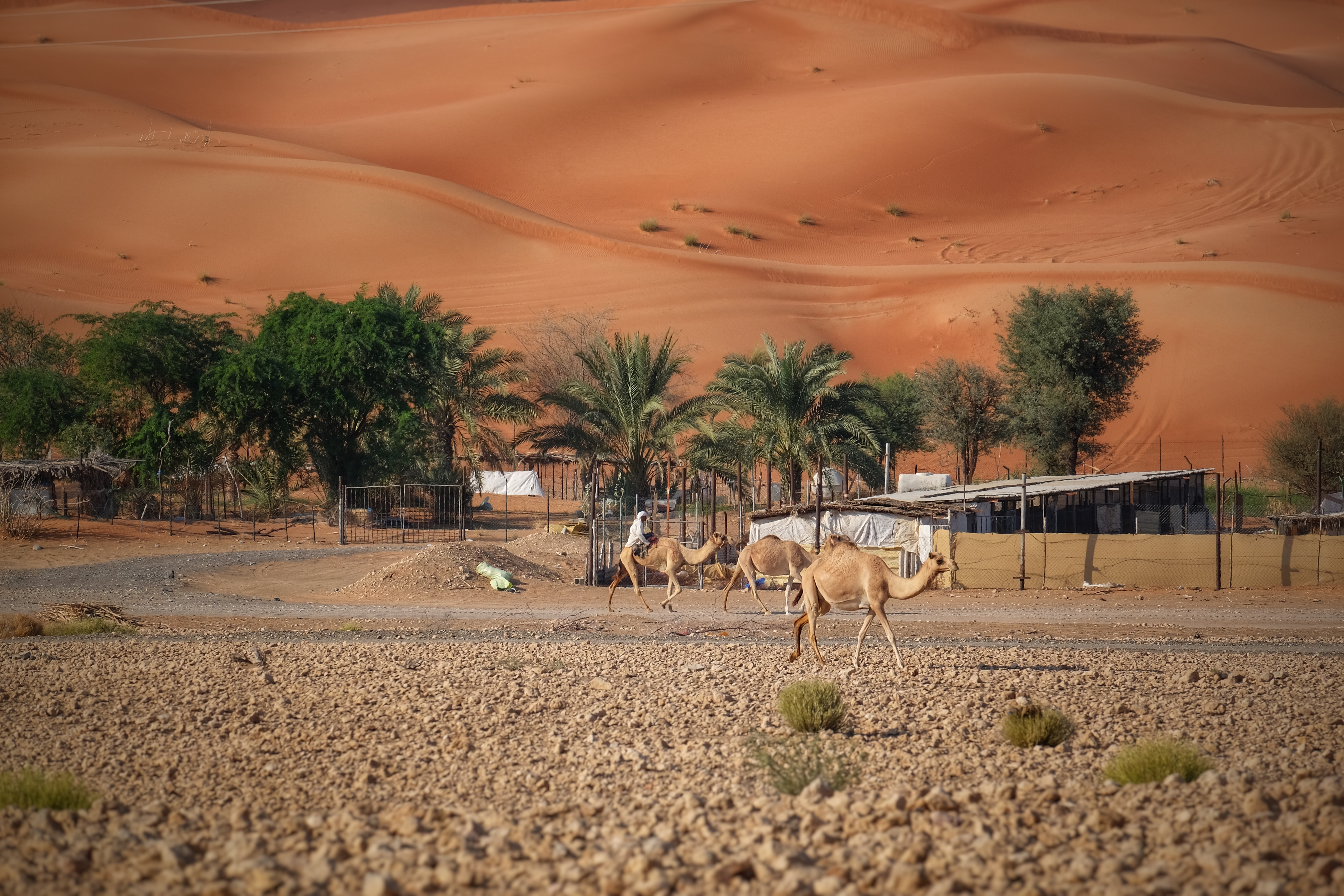 File:Desert village - panoramio (1).jpg - Wikimedia Commons