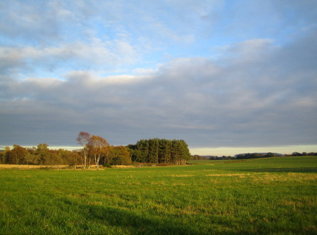 File:Fields near Damhead - geograph.org.uk - 588408.jpg