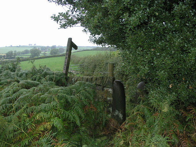 File:Footpath and Holly - geograph.org.uk - 254506.jpg
