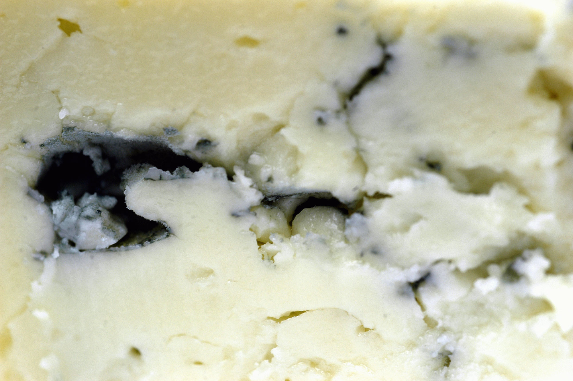 Gorgonzola - Wikipedia