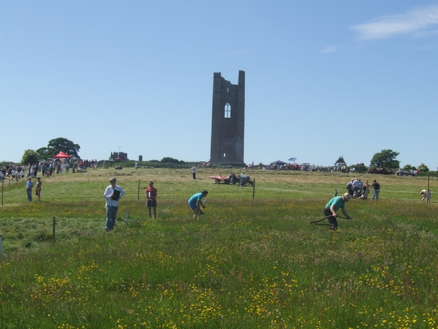 Grass cutting in the haymeadow at Trim - geograph.org.uk - 1980374