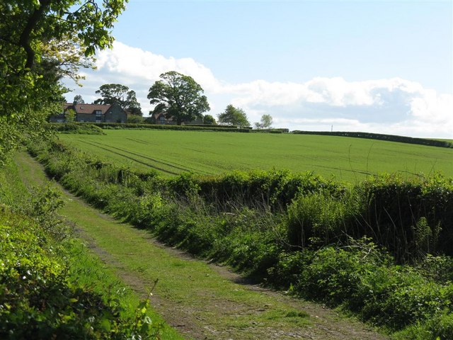 File:Lane to Newton - geograph.org.uk - 1298245.jpg