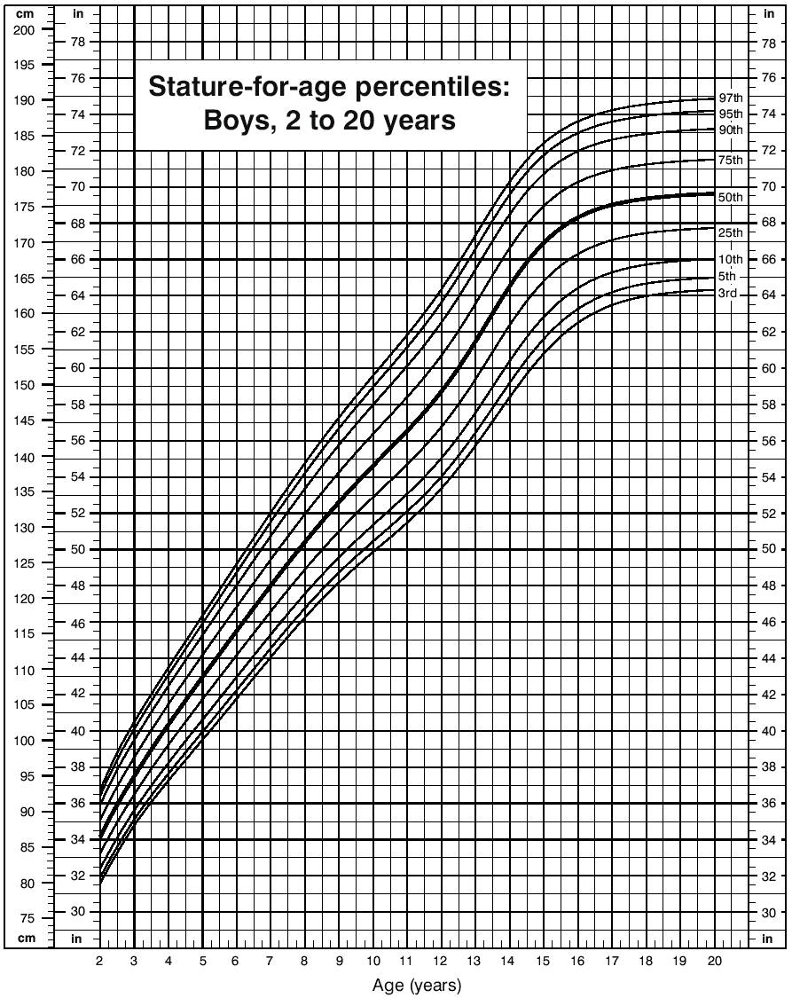 Boys to Men – a Growth Model