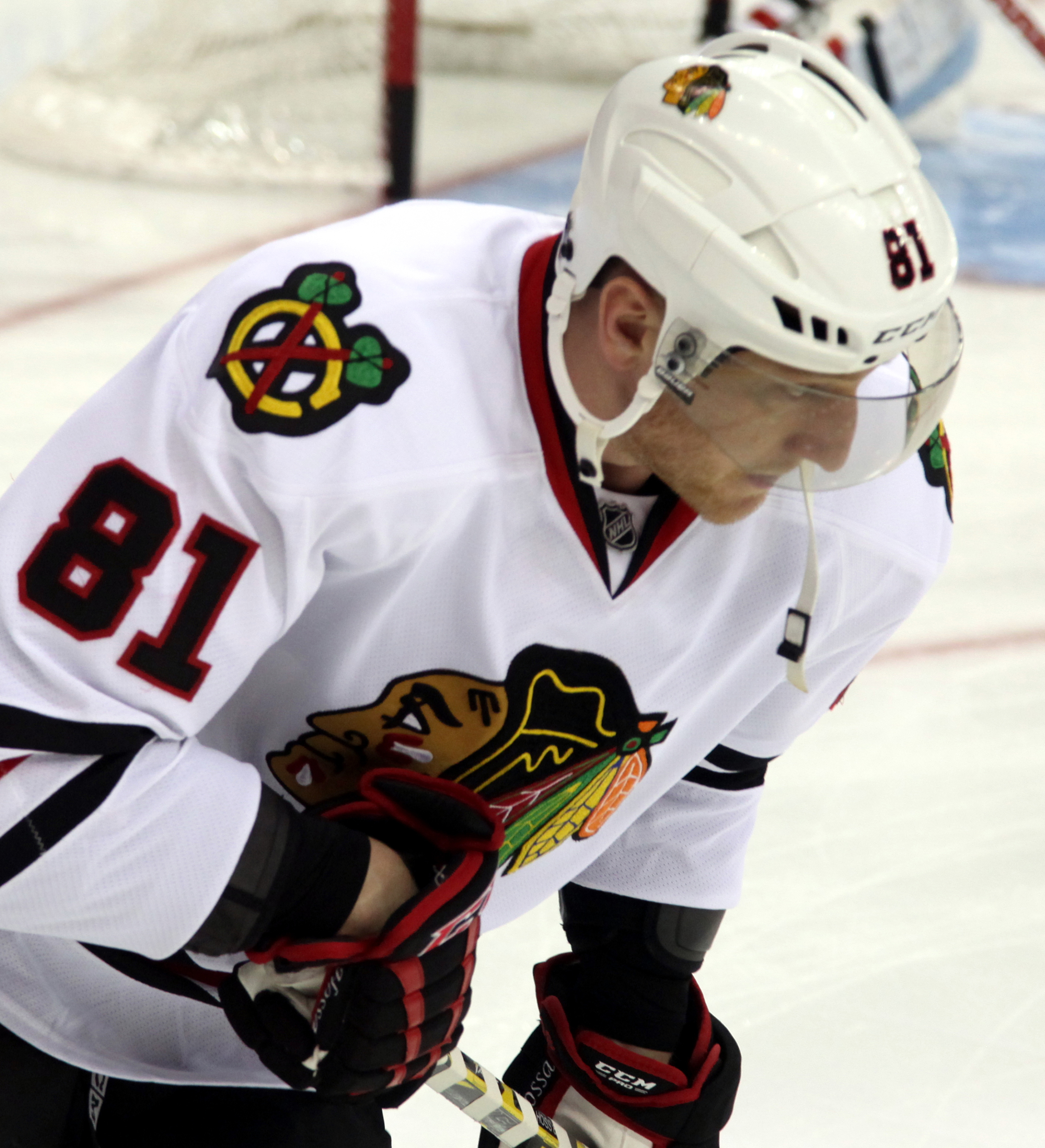 Marian Hossa, Detroit Red Wings Wiki