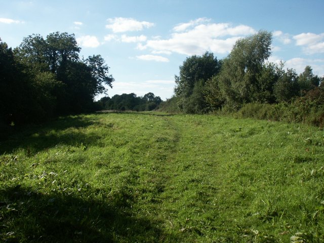 File:Meadows, Hethel - geograph.org.uk - 44726.jpg