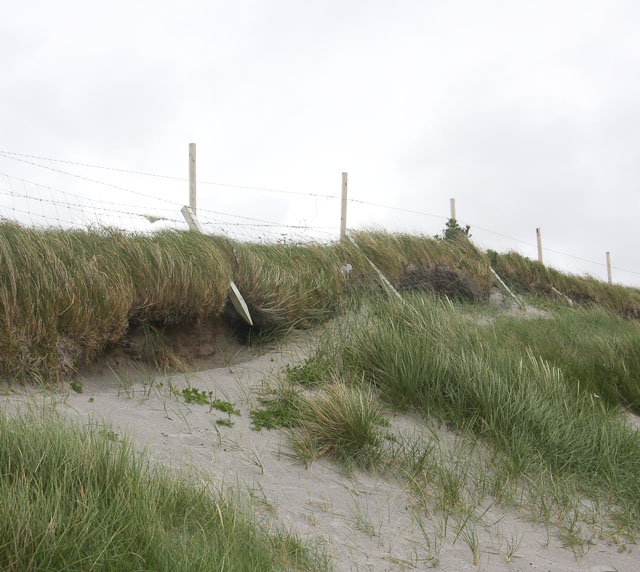 File:Mobile coastline - geograph.org.uk - 1470665.jpg