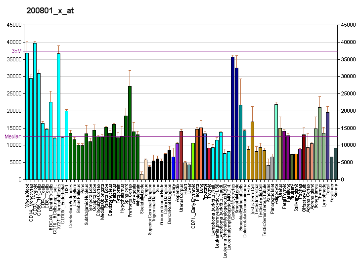 File:PBB GE ACTB 200801 x at fs.png