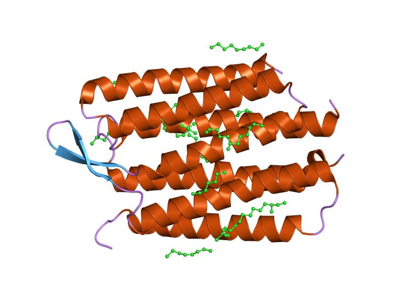 File:PDB 1kg9 EBI.jpg