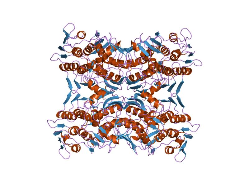 File:PDB 1rf5 EBI.jpg