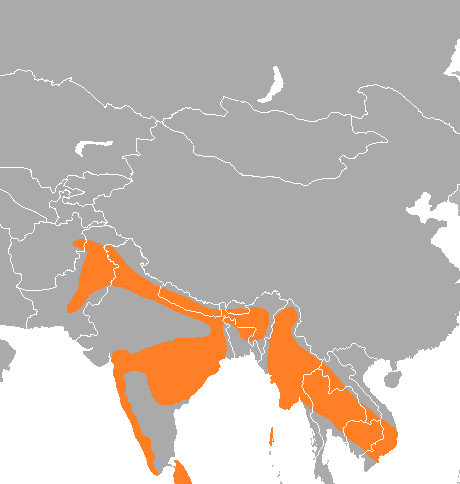 File:Psittacula eupatria range map.png