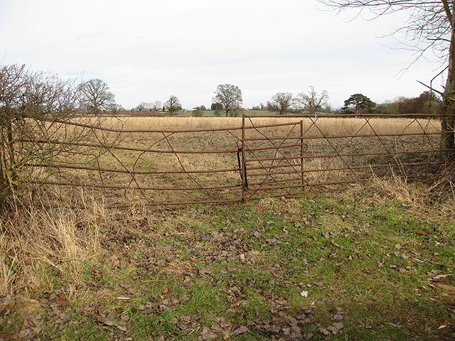 File:Rusty gates - geograph.org.uk - 1165335.jpg