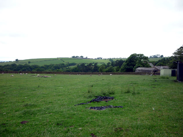 Sheep pasture near St Johns Church - geograph.org.uk - 1959044