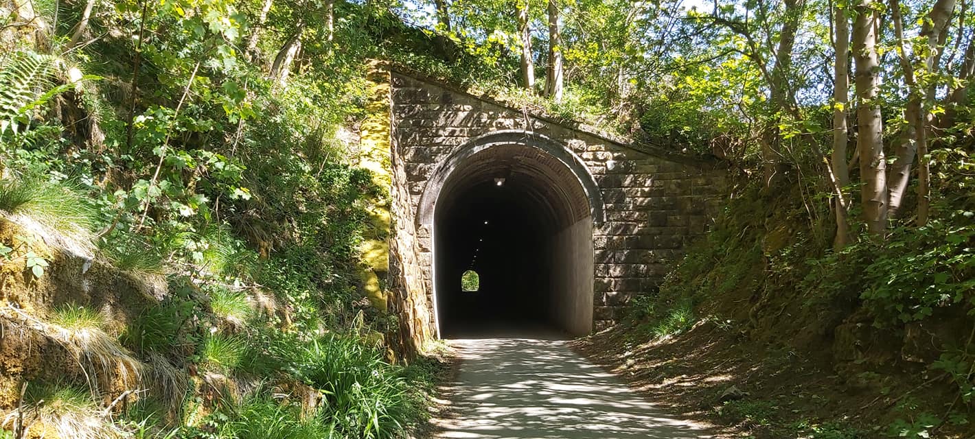 Swainsley Tunnel