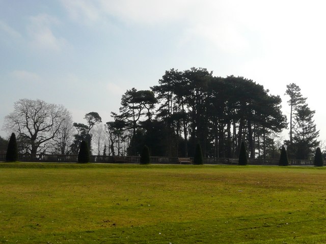 File:Trees, Oldway mansion, Paignton - geograph.org.uk - 694098.jpg