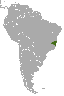 Distribuição geográfica do sagui-de-cara-branca