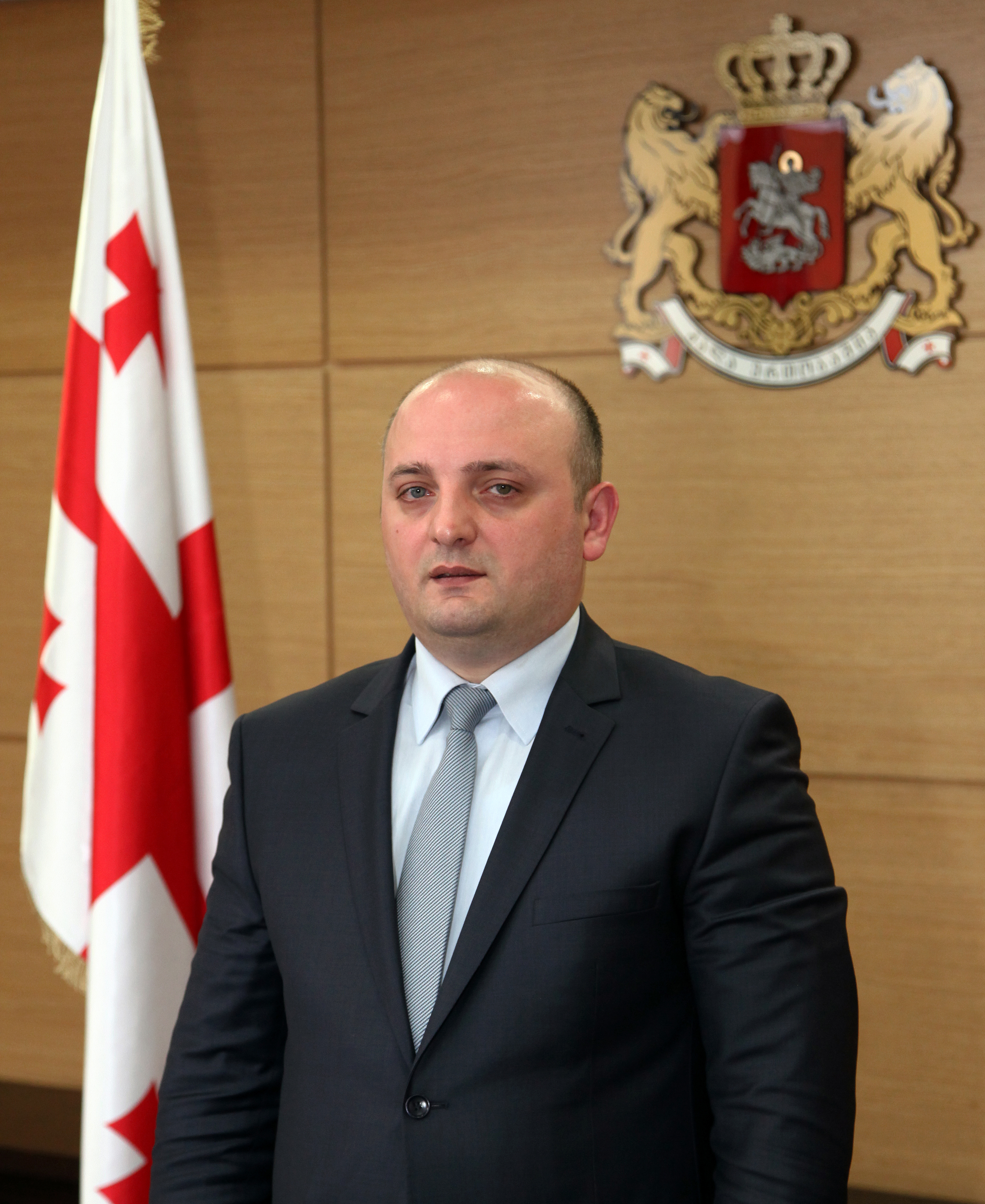 министр обороны грузии тина