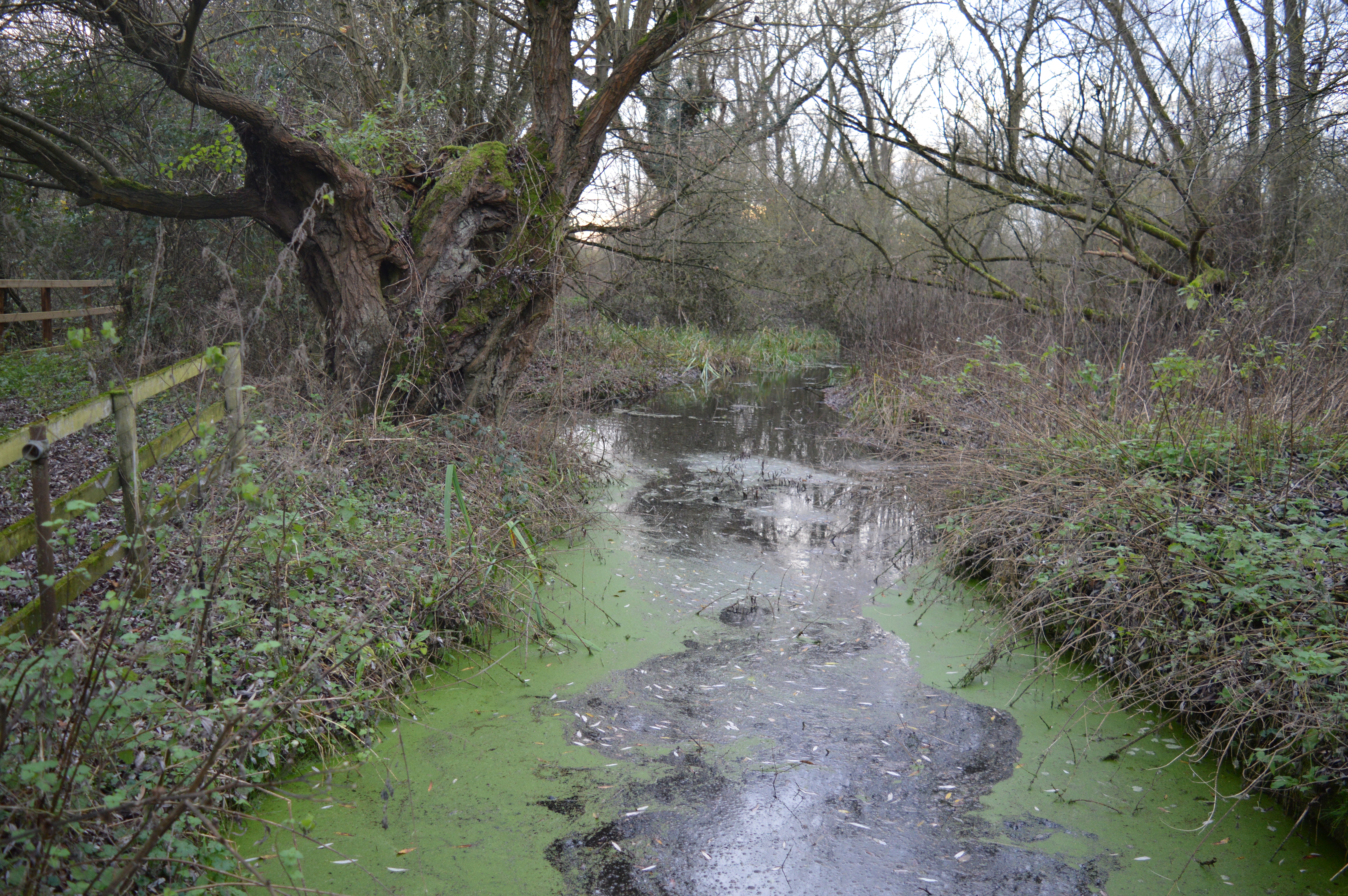 Begwary Brook