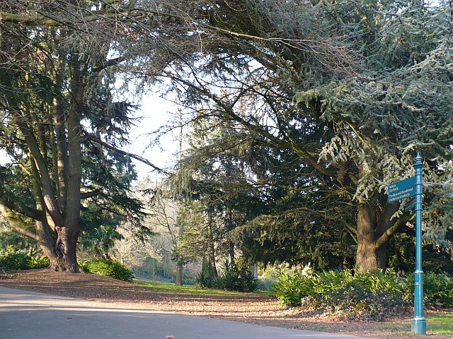 File:Belle Vue Park - geograph.org.uk - 705342.jpg