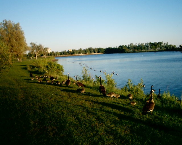 File:Boulevard Lake Thunder Bay Ontario.jpg