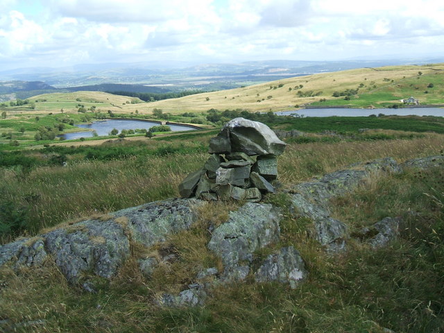 Newton Fell