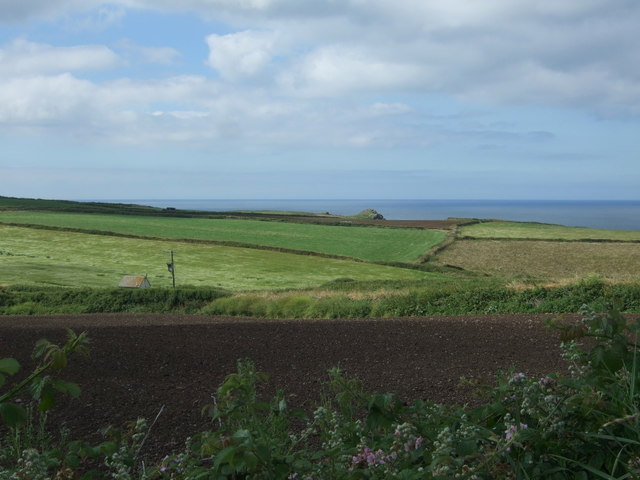 File:Coastal fields, Lizard Peninsula - geograph.org.uk - 5470265.jpg