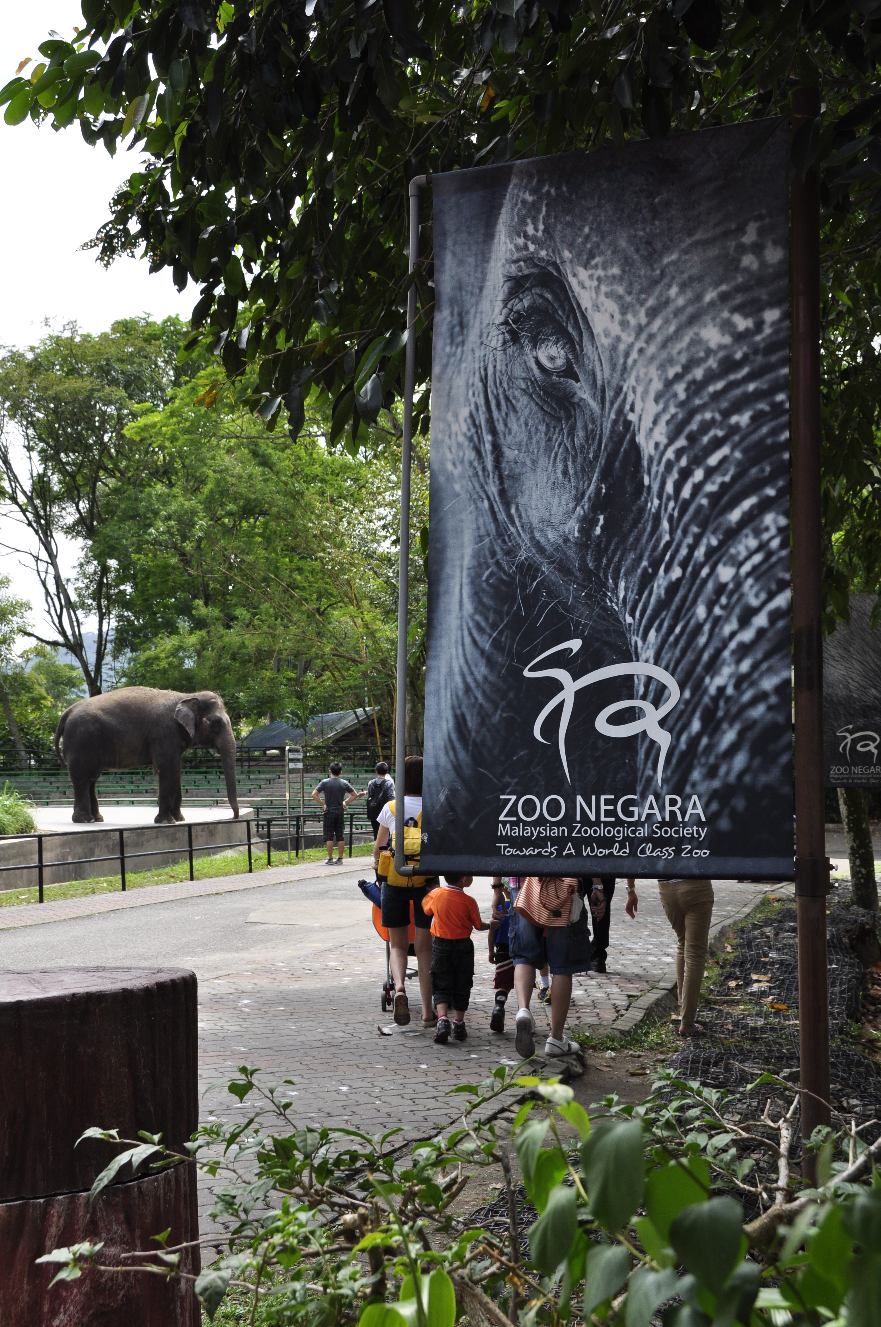 Zoo negara