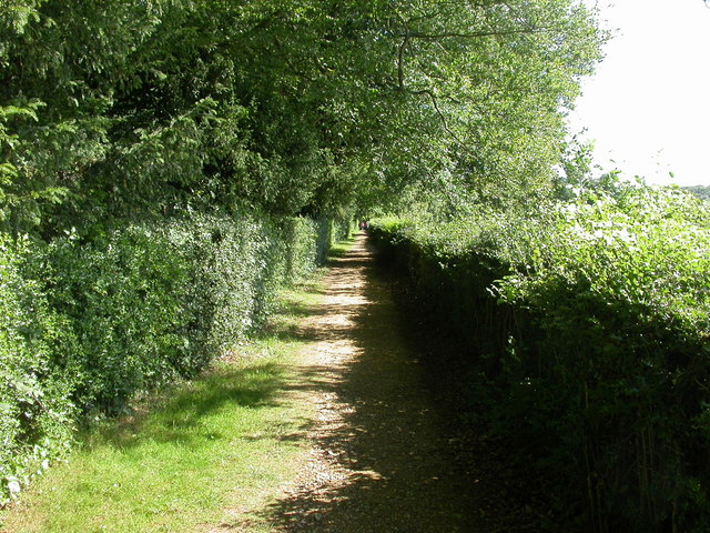 Down House, sandwalk - geograph.org.uk - 1399185