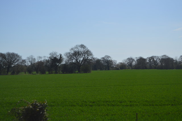 File:Farmland by the West Coastway line - geograph.org.uk - 4730302.jpg