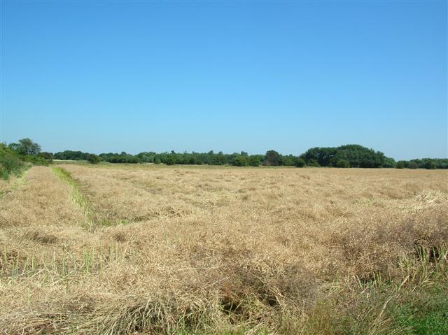 File:Farmland close to Knedlington - geograph.org.uk - 202916.jpg