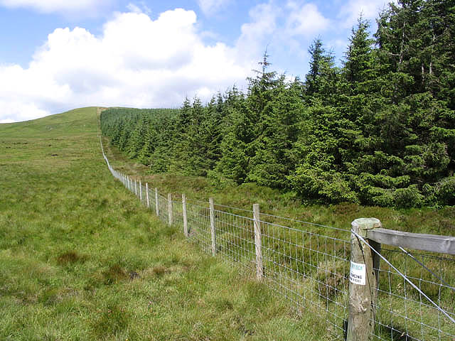 File:Field-woodland boundary - geograph.org.uk - 508044.jpg