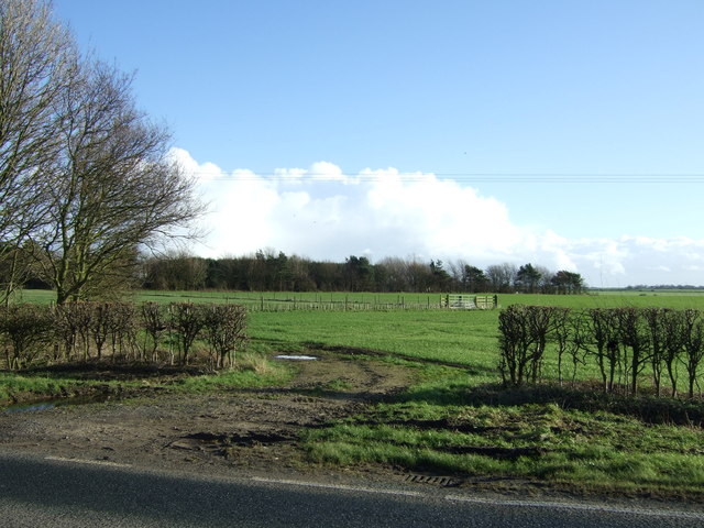 File:Field entrance off Lissett Lane (A165) - geograph.org.uk - 4819149.jpg