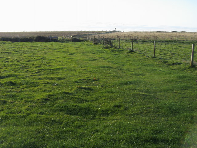 File:Footpath to Coastal path - geograph.org.uk - 1041515.jpg