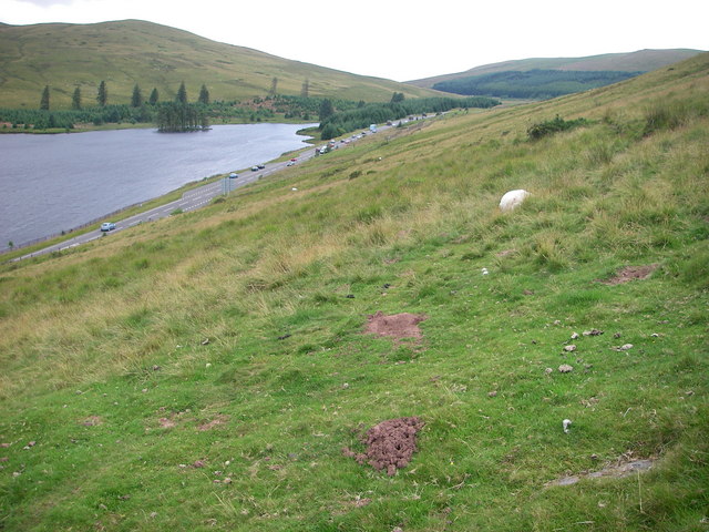 Grassy slopes of Gwaun Crew - geograph.org.uk - 890151