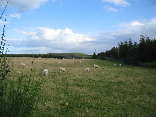 File:Grazing land near Greens of Burgie - geograph.org.uk - 547582.jpg