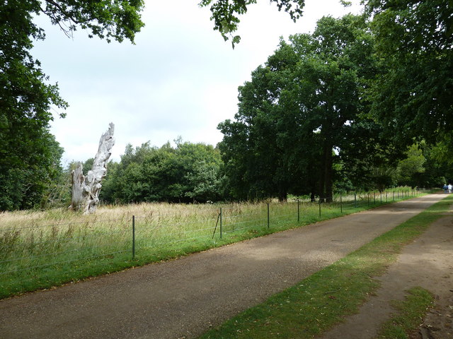 File:Grounds of Osborne House (16) - geograph.org.uk - 2522927.jpg