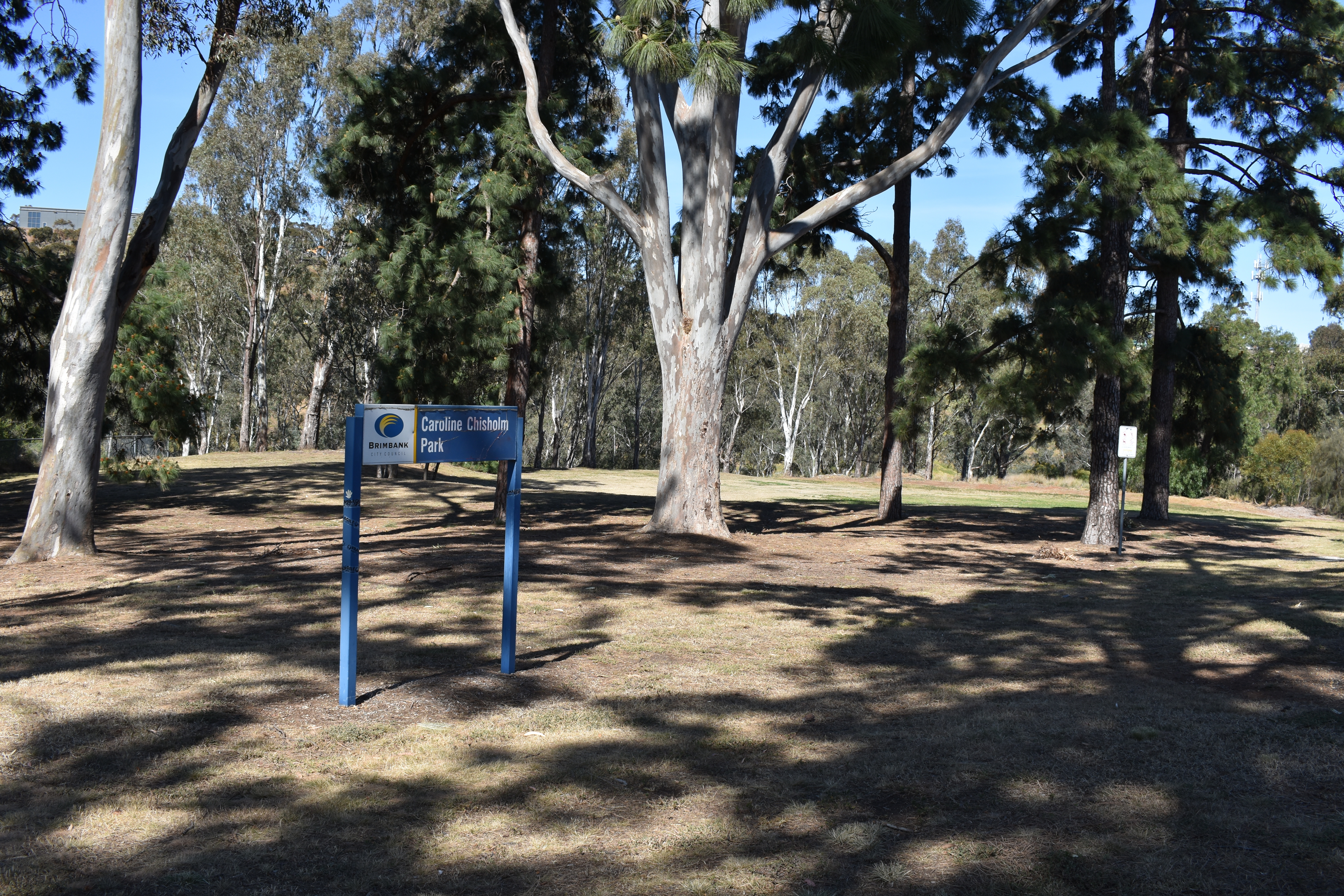 Chisholm Park Pool