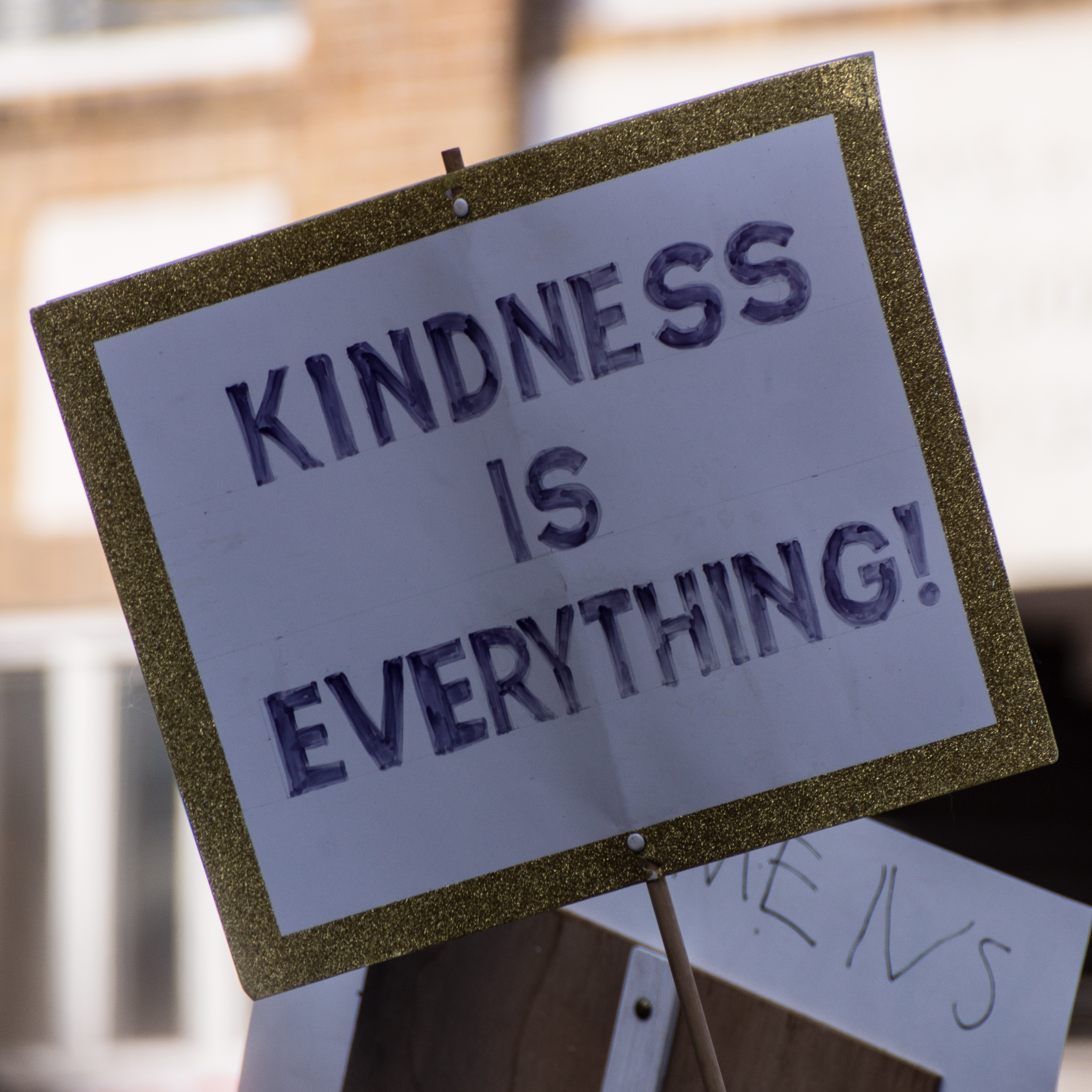 Kindness_is_everything%21_-WomensMarch_-WomensMarch2018_-SenecaFalls_-NY_%2824937353927%29