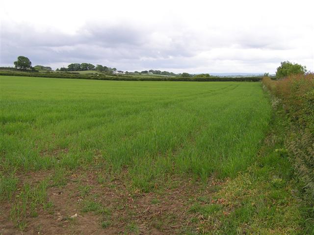 File:Kirkhills Townland - geograph.org.uk - 848048.jpg