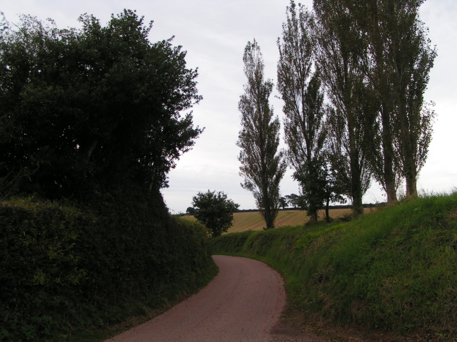 File:Lane heading south from Furze - geograph.org.uk - 1467823.jpg