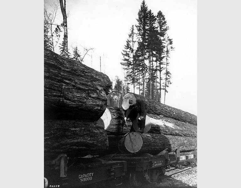 File:McDougal and Biladeau Logging Co, Ravensdale (CURTIS 990).jpeg