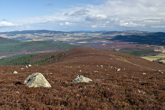 North east spur of Pannanich Hill - geograph.org.uk - 1192229